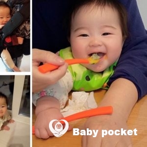 エルピスちゃん入籍のご報告