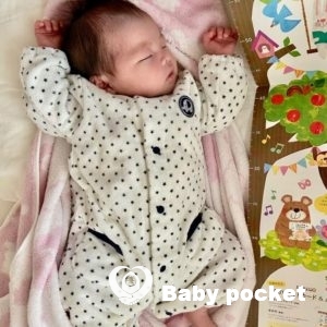 つぶあんちゃんをお迎えしました