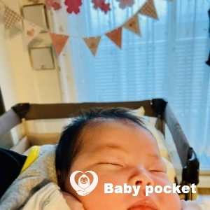 つぶあんちゃんをお迎えしました