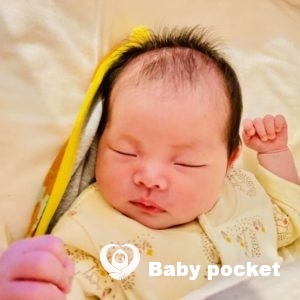 つぶあんちゃんをお迎えしました