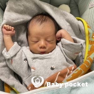 こむぎ君をお迎えしました