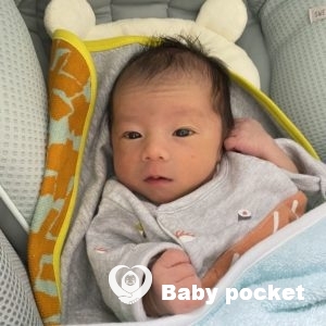 こむぎ君をお迎えしました