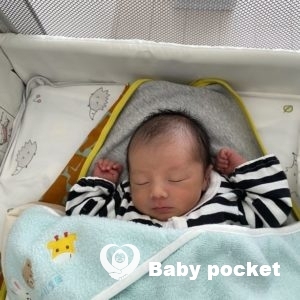 こむぎ君をお迎えしました