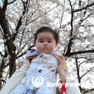 💡ライトくんハーフバースデーのご報告🎂