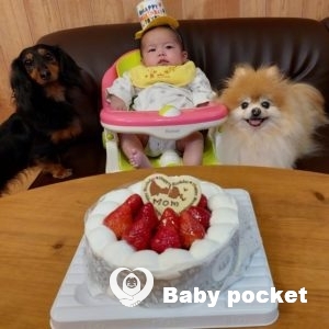 スマイリー君のお食い初め💝