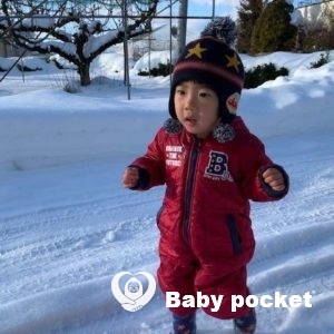 ソルト君の近況報告☆2歳7ヶ月