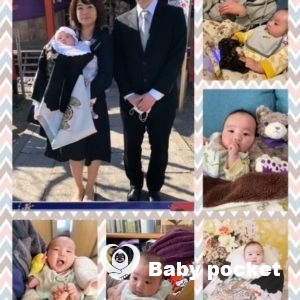 セキセイ君のお食い初めと近況のご報告