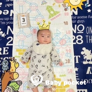 セキセイ君のお食い初めと近況のご報告