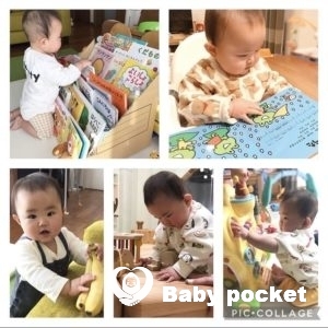 しらほしちゃん入籍と成長の報告