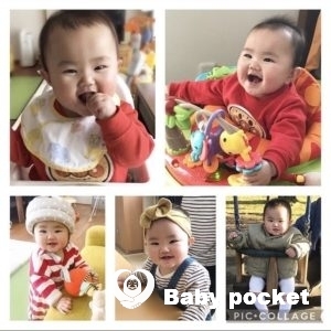 しらほしちゃん入籍と成長の報告