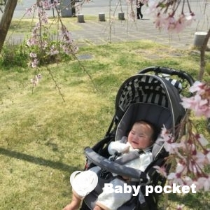 スイカくん入籍のご報告