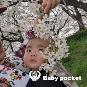 のすけ君 ハーフバースデーのご報告