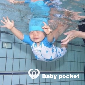 アポロ君 2歳のご報告