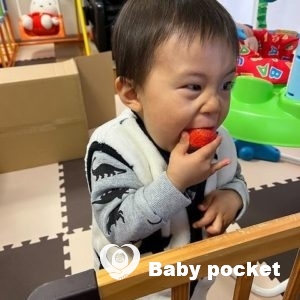 アポロ君 2歳のご報告