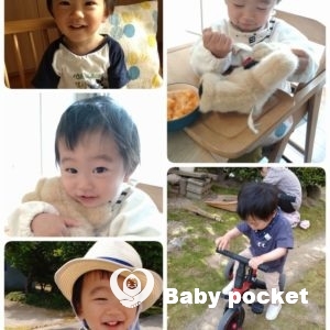 カウル君の成長報告~1歳7ヶ月~