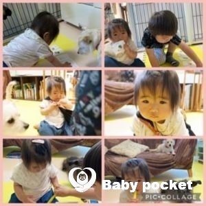 いなさちゃん1歳、かみあり君3歳半になりました