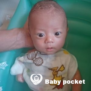 コッカー君 お宮参りと1ヶ月検診のご報告