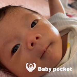 ペンタくんのお宮参り