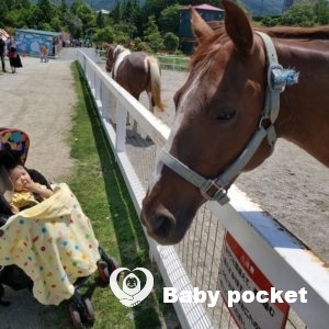 ルターくんが1歳3ヵ月になりました