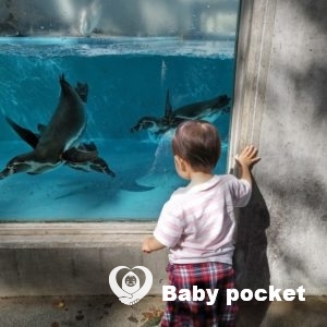 ジェナちゃん1歳5か月の近況報告