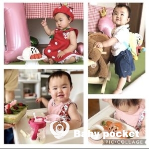 しらほしちゃん1歳のご報告