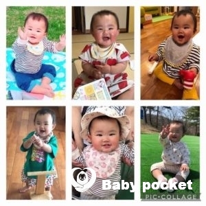 しらほしちゃん1歳のご報告