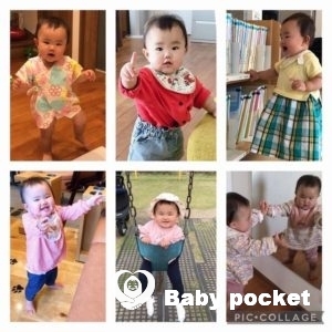 しらほしちゃん1歳のご報告