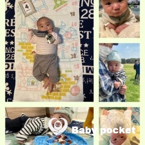 セキセイ君が6ヶ月になりました。