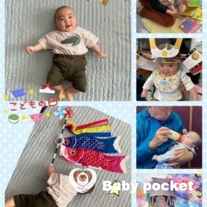 セキセイ君が6ヶ月になりました。