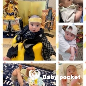 セキセイ君が6ヶ月になりました。