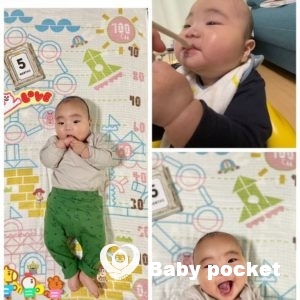 セキセイ君が6ヶ月になりました。