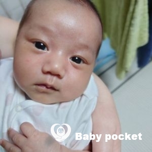 すみちゃんをお迎えしました。