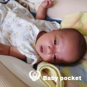 すみちゃんをお迎えしました。