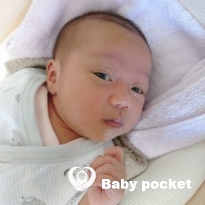 すみちゃんをお迎えしました。