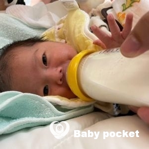 ホルンフェルスちゃんをお迎えしました!