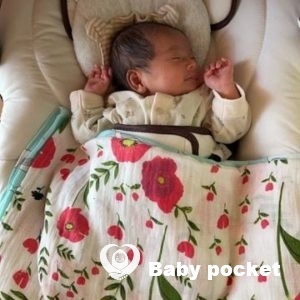 ホルンフェルスちゃんをお迎えしました!