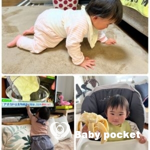 苺ミルクちゃん🍓1歳のお誕生日を迎えました!