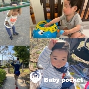 チンプイくん近況ご報告