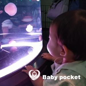 ジェナちゃん1歳6か月の近況報告