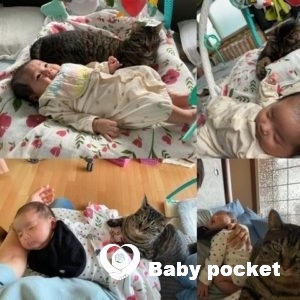 ホルンフェルスちゃんのお宮参り