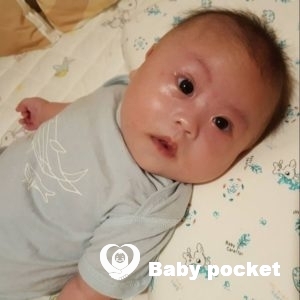 しんうち君が4ヶ月を迎えました!