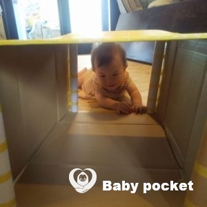 🍎秋映ちゃん 入籍と10か月のご報告🍎