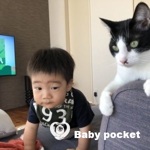 リブくん🐺入籍と1歳2ヶ月のご報告