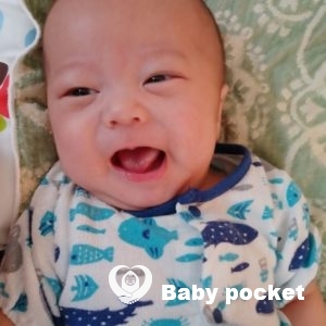 コッカーくんのお食い初め