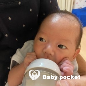 ティガ―くんをお迎えしました