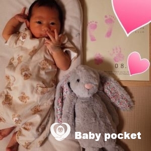 マラサダちゃんをお迎えしました