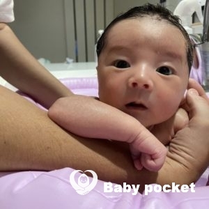 花火くんをお迎えしました🌟