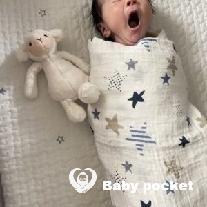 花火くんをお迎えしました🌟