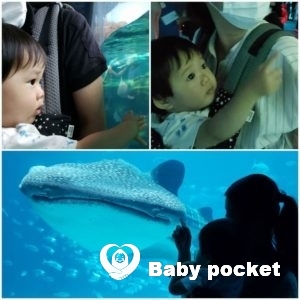 ルターくん入籍と1歳5ヵ月のご報告