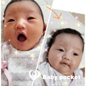 せんかちゃん誕生1ヶ月のご報告